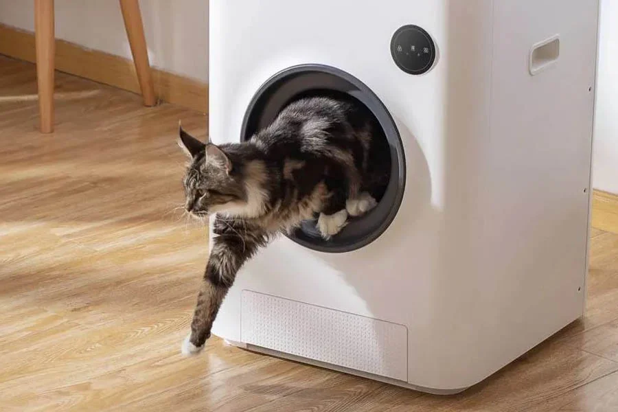 automatic litter box enclosure