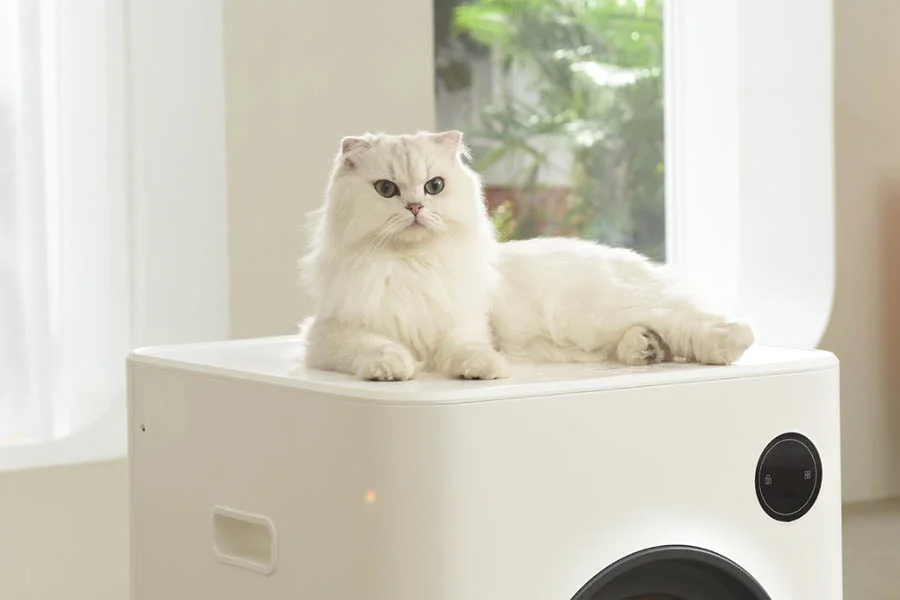 automatic litter box enclosure